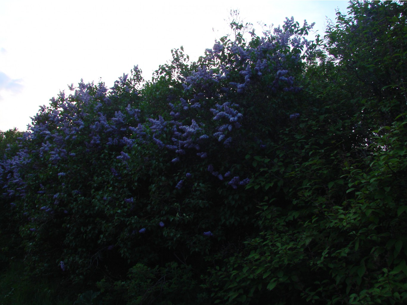 05.06.2009 10:42:59