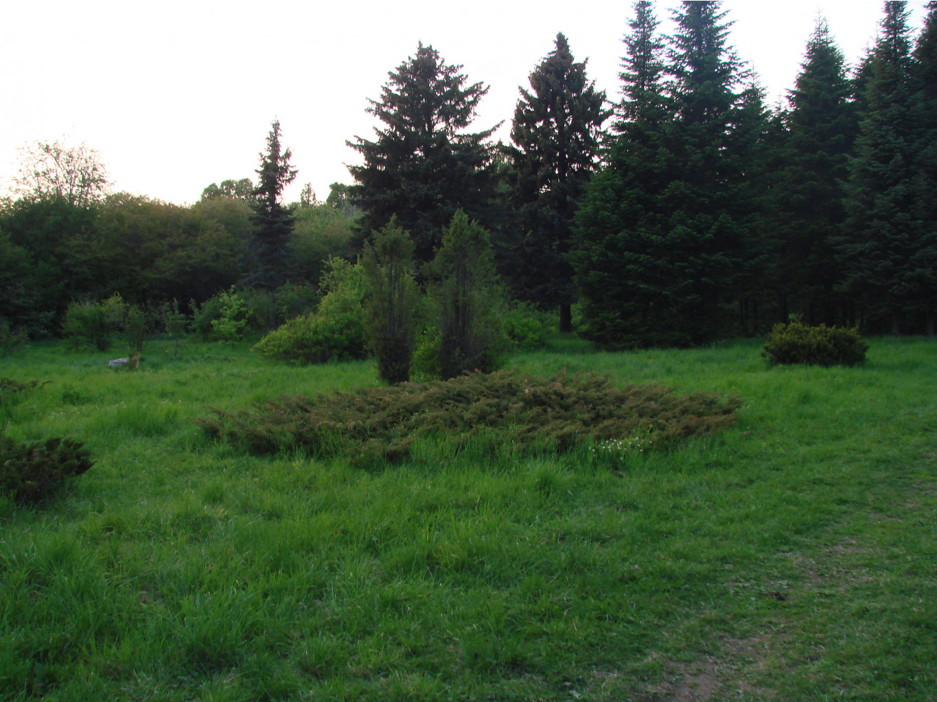 05.06.2009 11:03:03