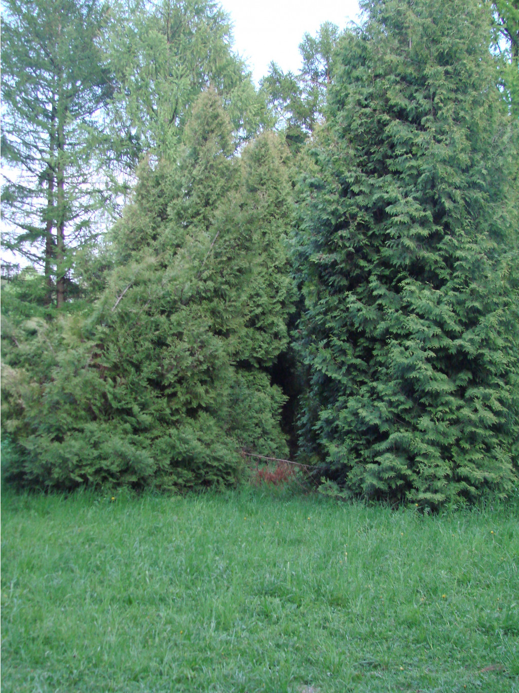 05.06.2009 11:08:26