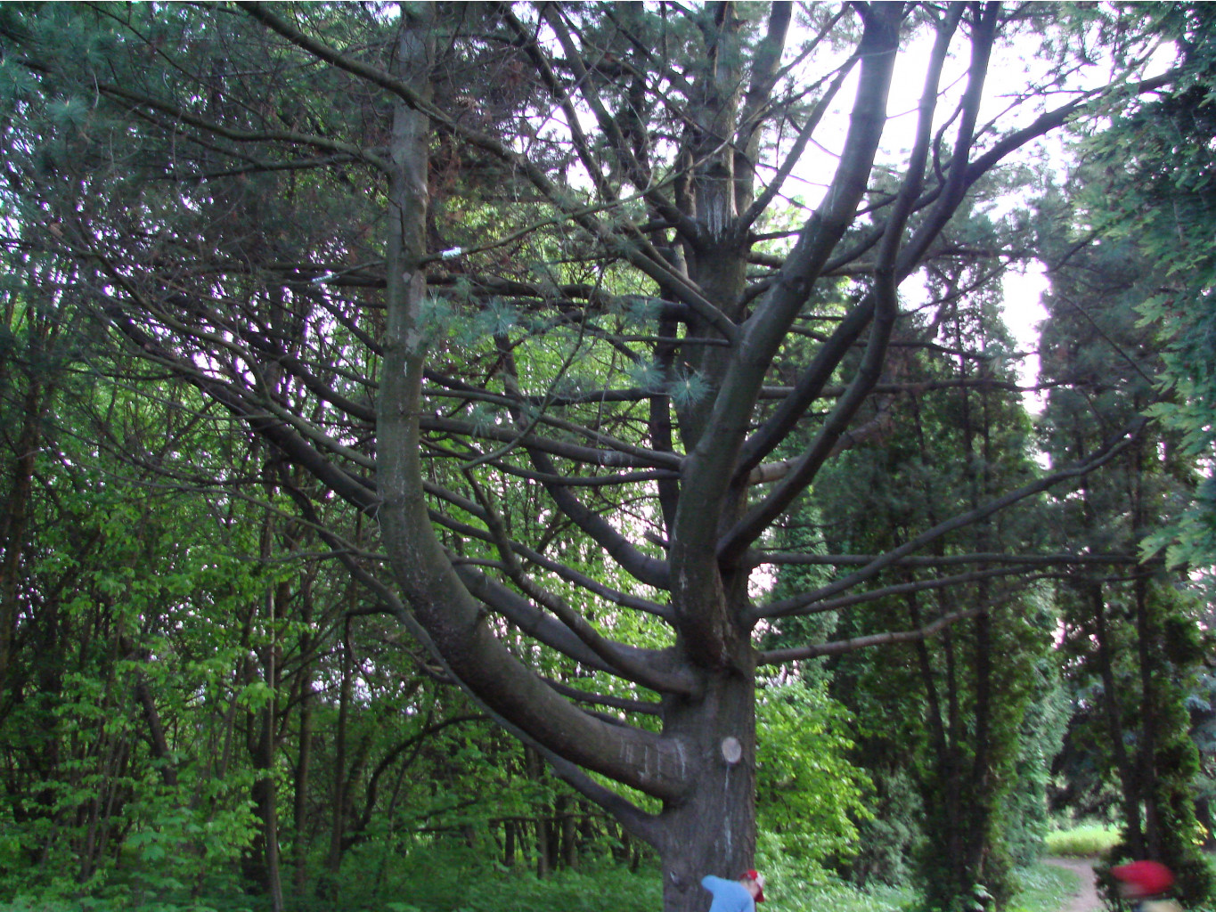 05.06.2009 11:25:57