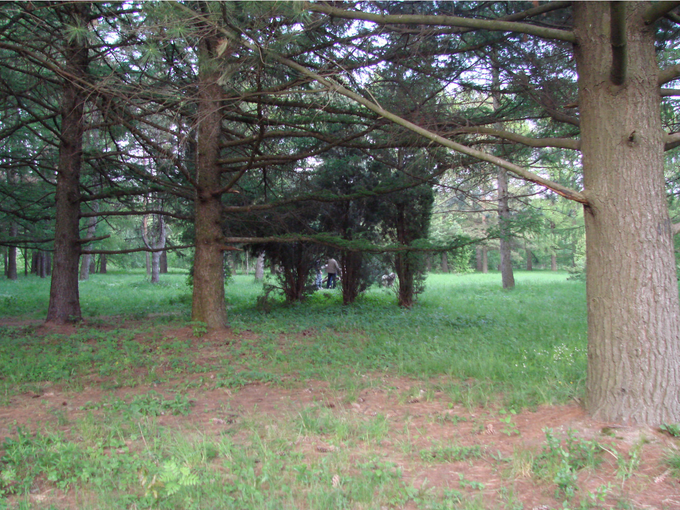 05.06.2009 11:26:07