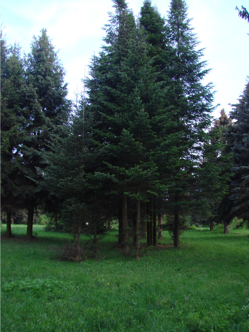 05.06.2009 11:29:19
