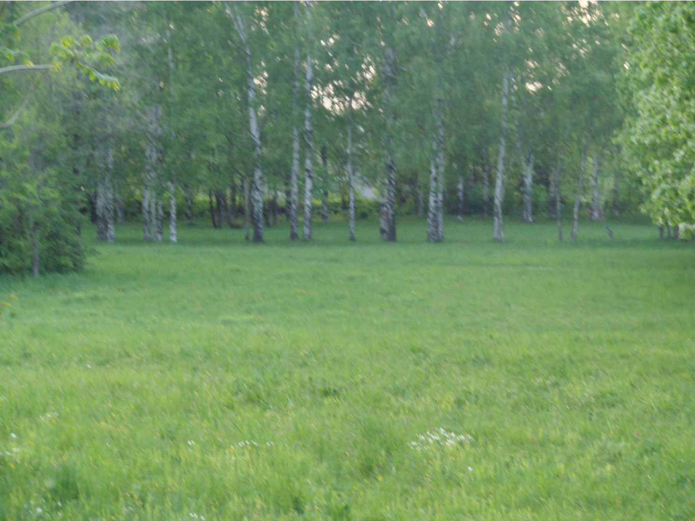 05.06.2009 11:30:44