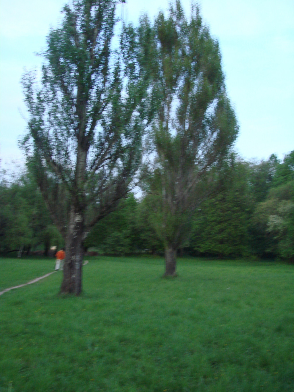 05.06.2009 11:34:26