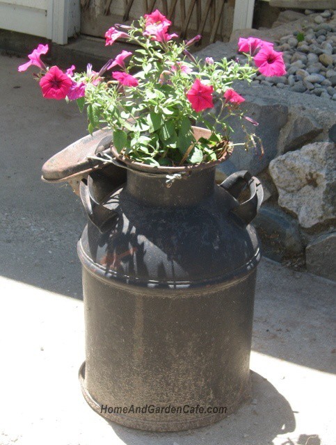 container-garden-milk-can.jpg