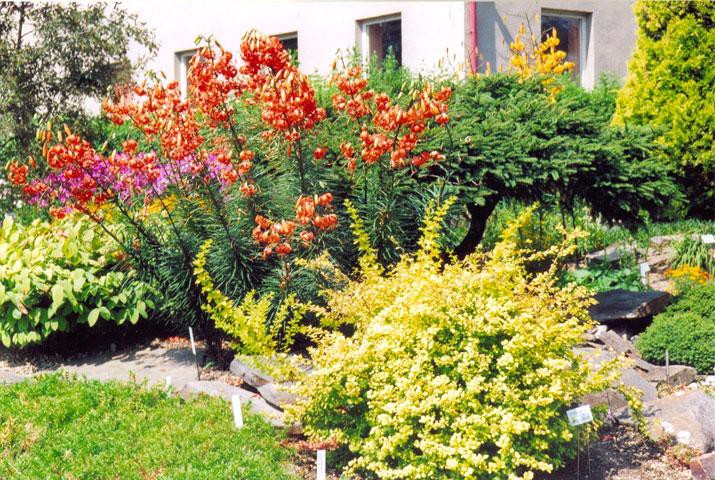 image-10_big.jpg