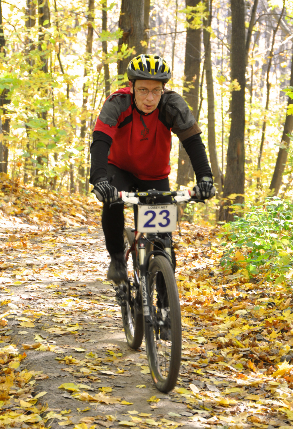 11.10.2010 12:09:32