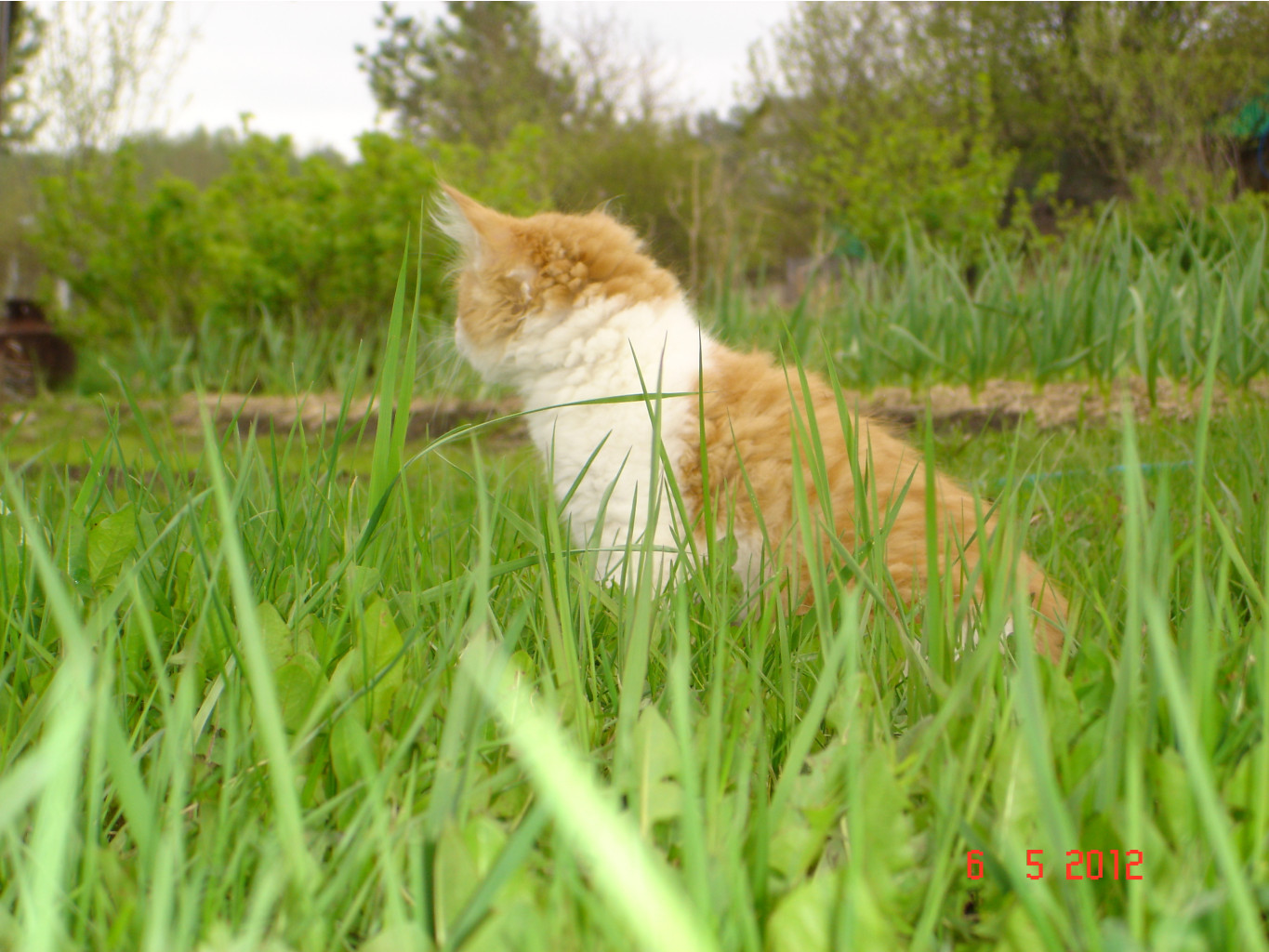 DSC01469.JPG