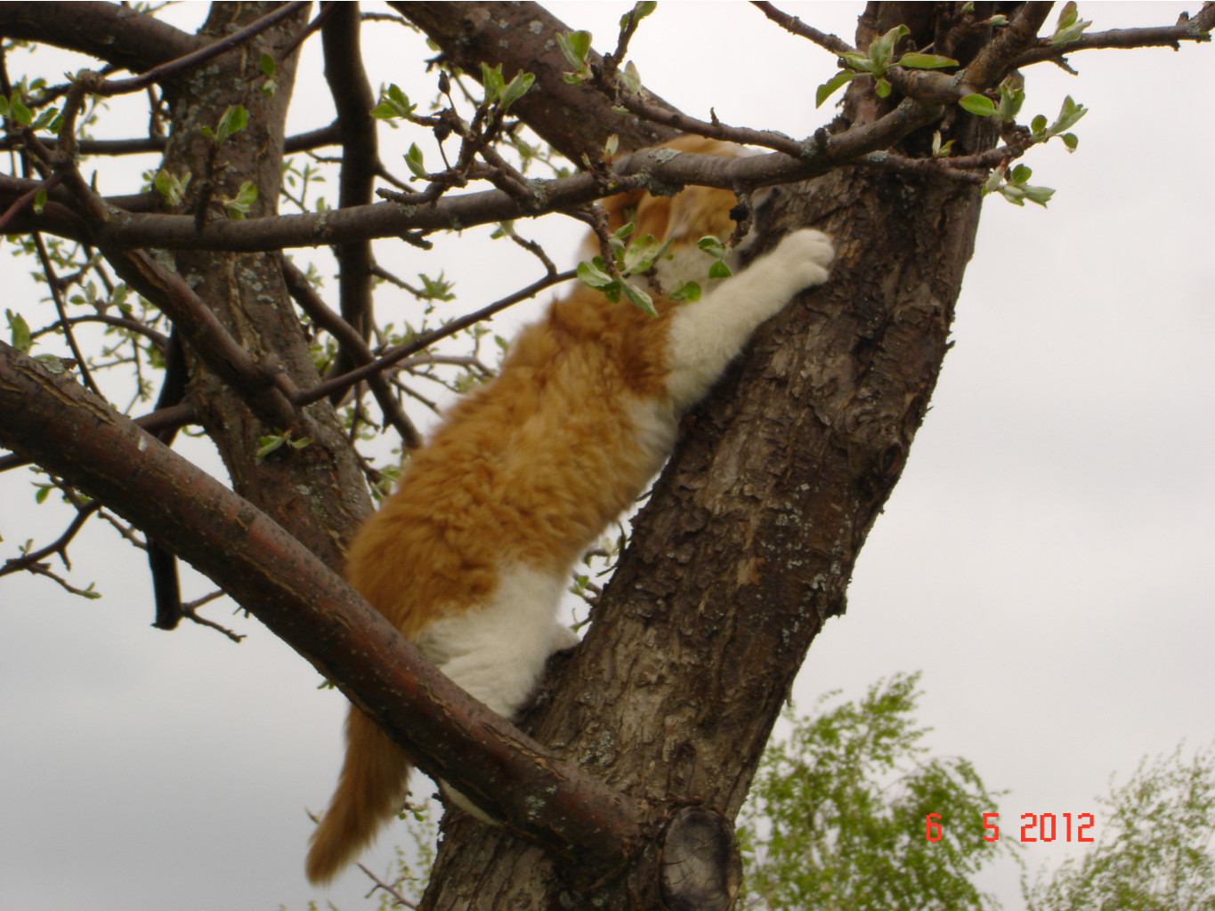 DSC01470.JPG