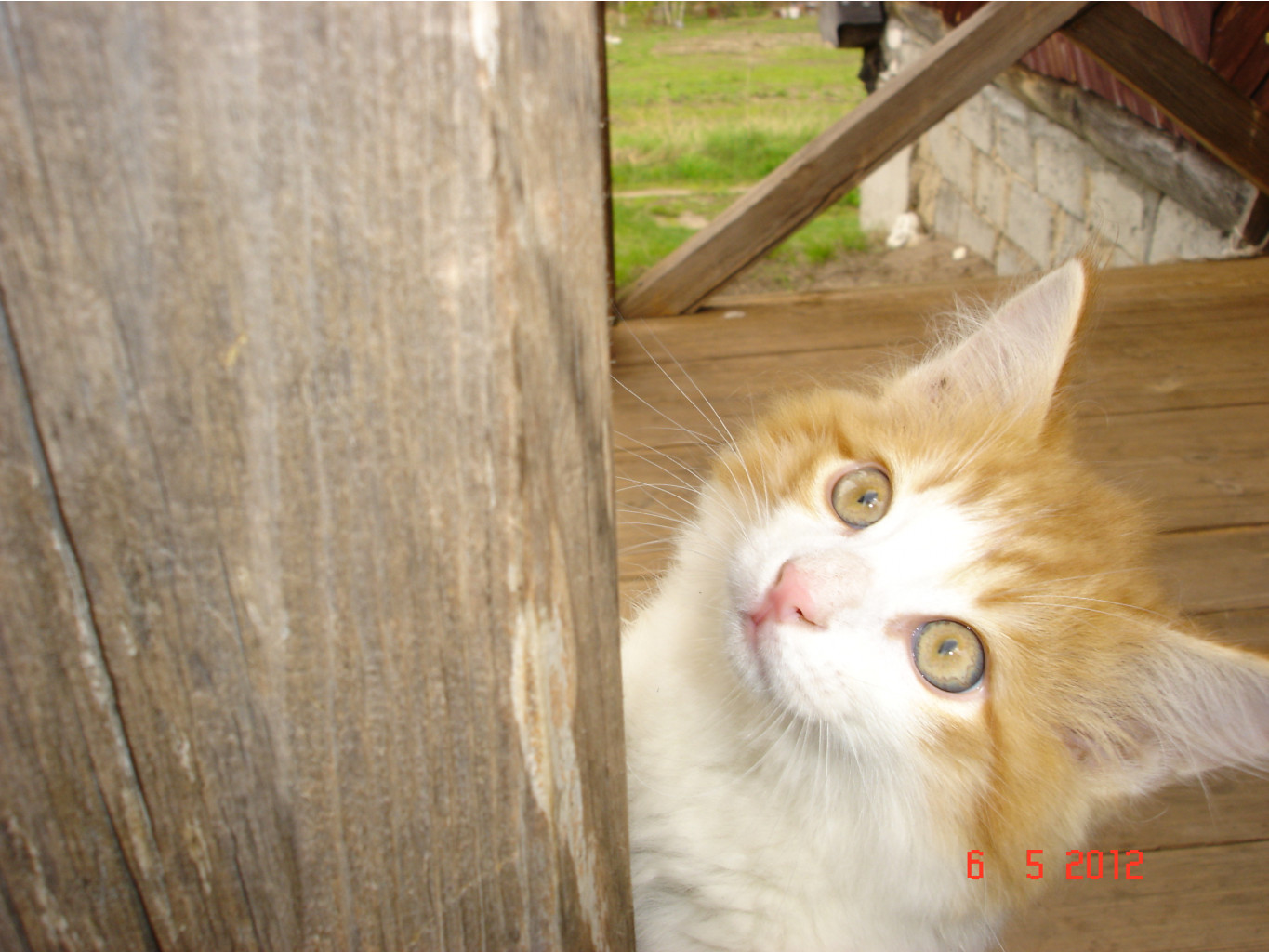 DSC01476.JPG