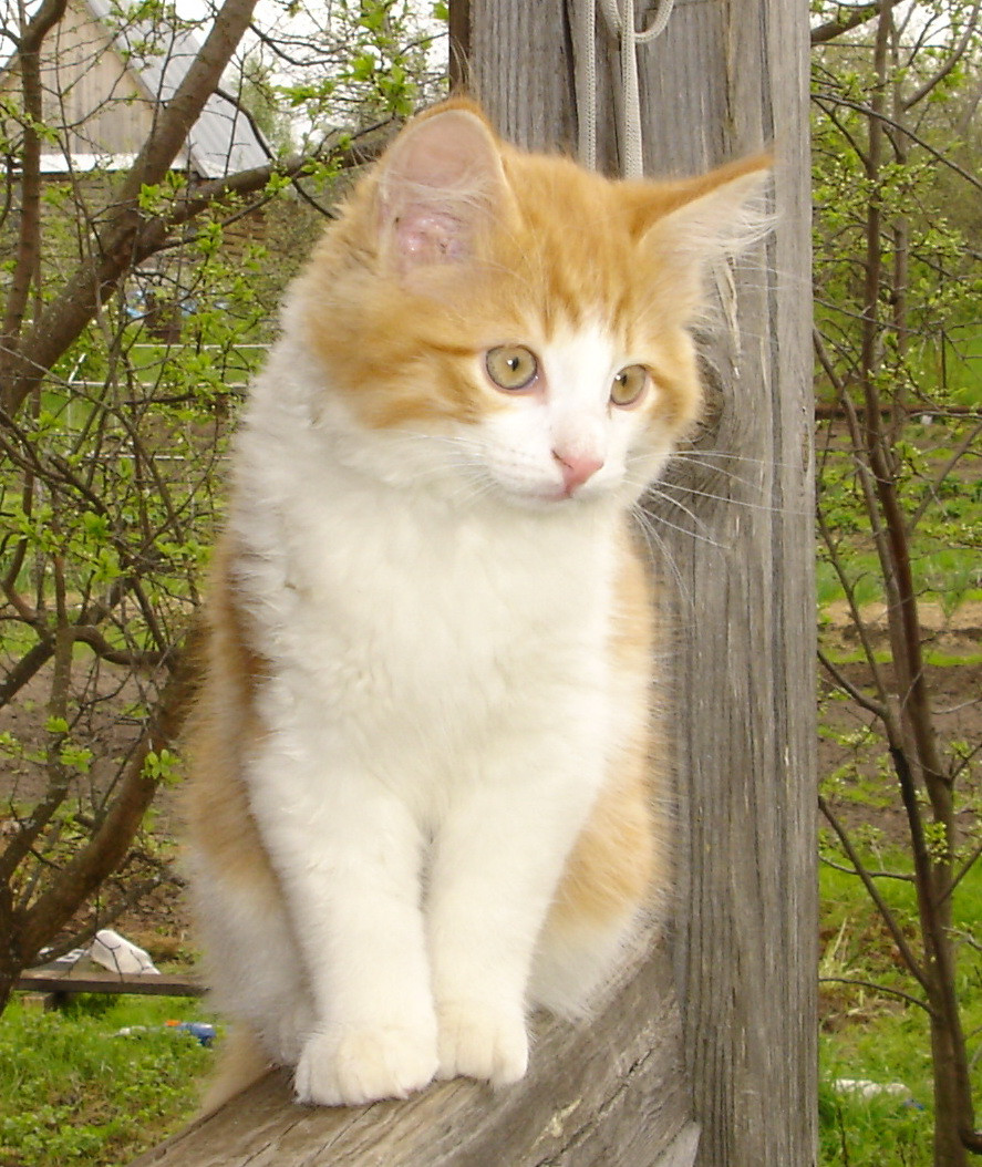 DSC01478.JPG