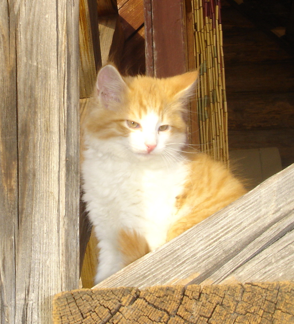 DSC01488.JPG
