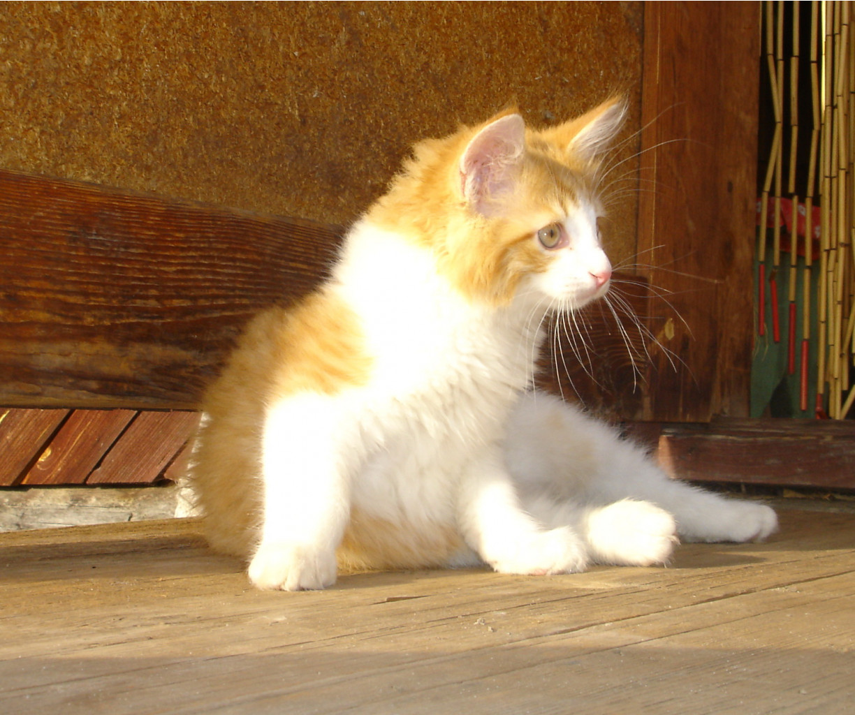 DSC01489.JPG