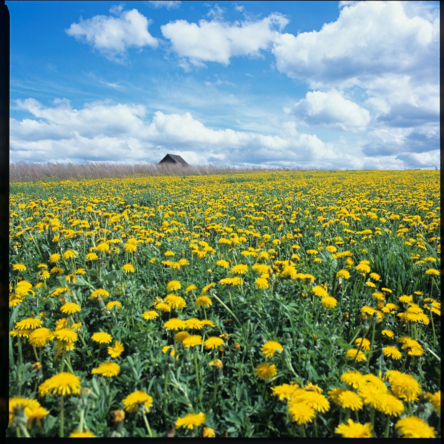 08.06.2009 21:56:25