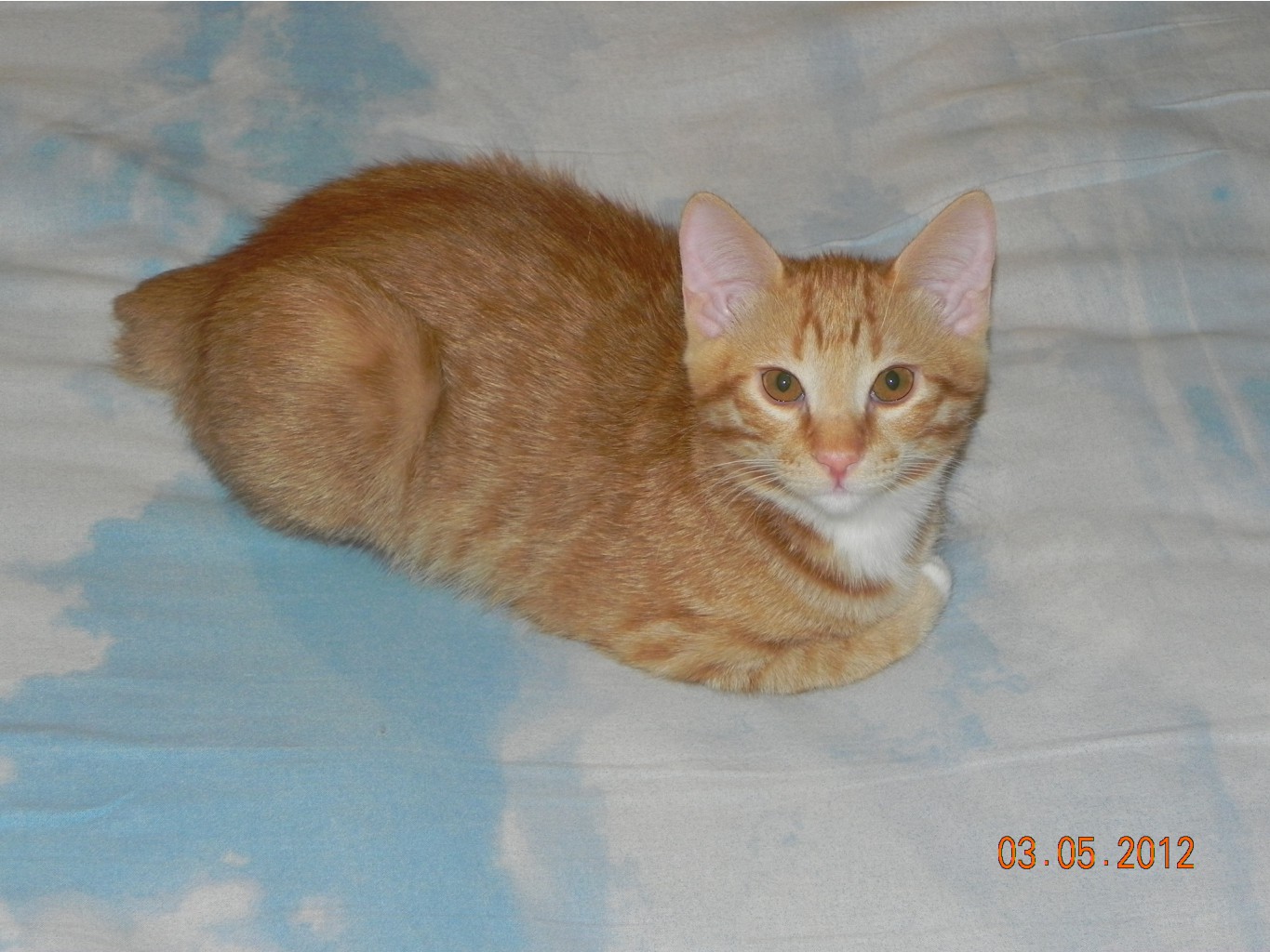 DSCN4764.JPG