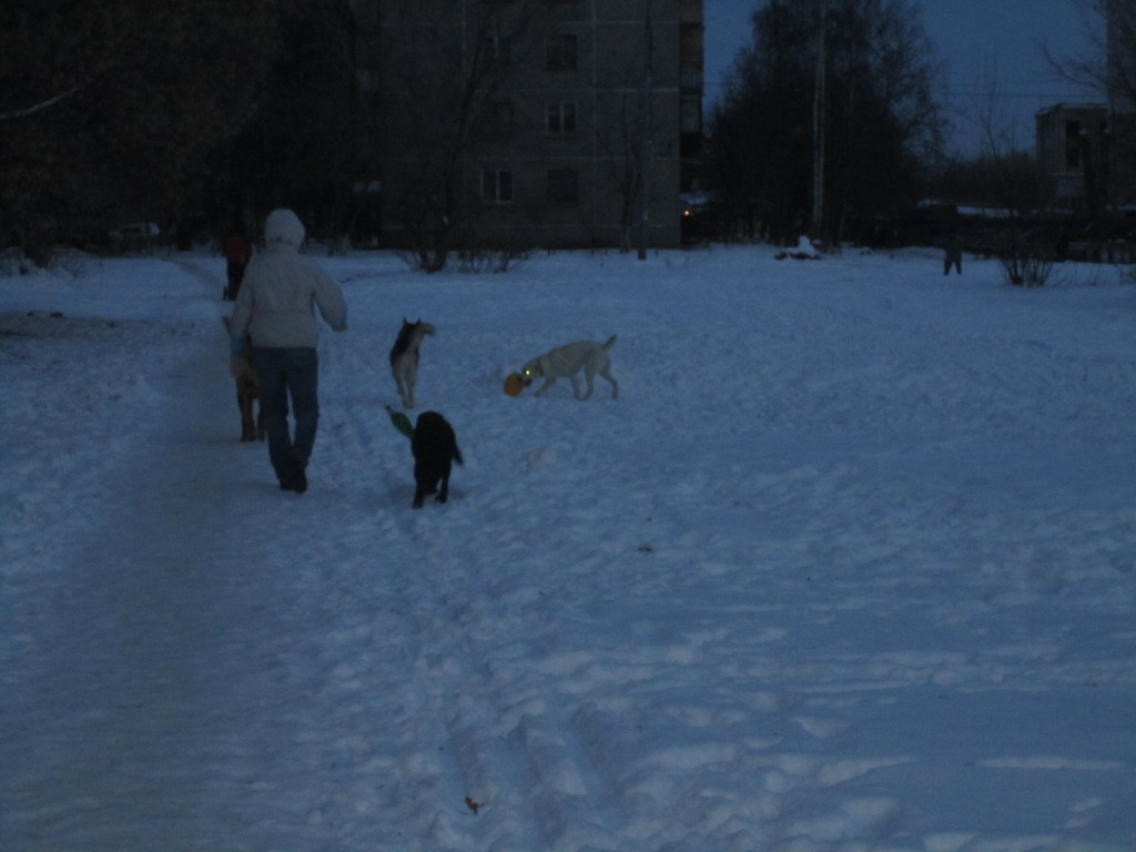 IMG_1026.JPG
