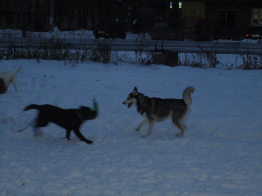 IMG_1027.JPG