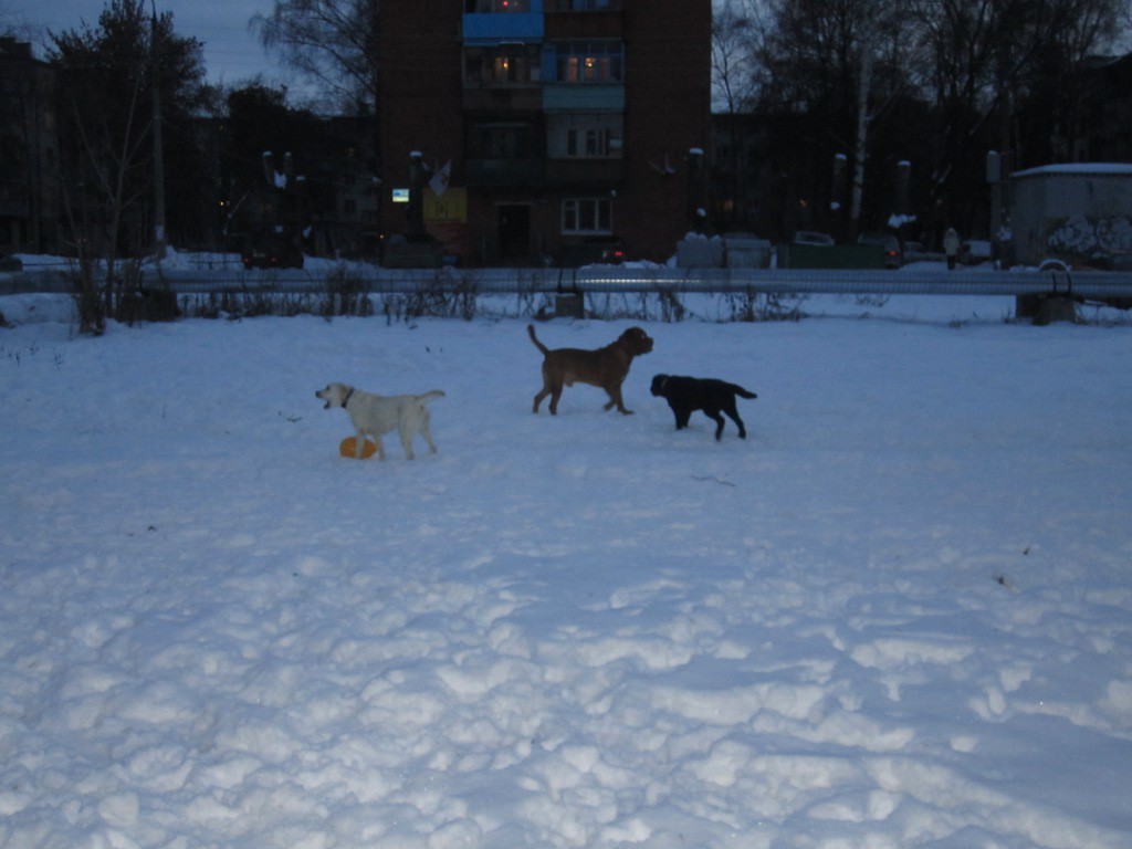 IMG_1042.JPG