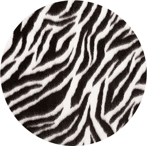 zebra02.jpg