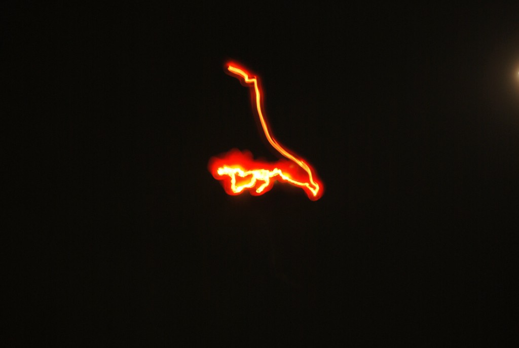 DSC_0893.jpg