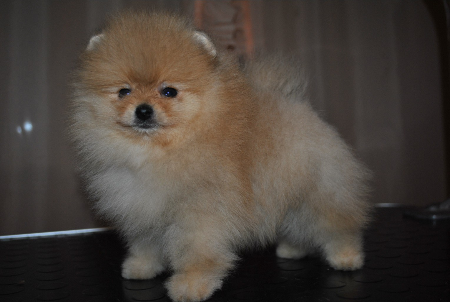 15,11.2011 035.jpg
