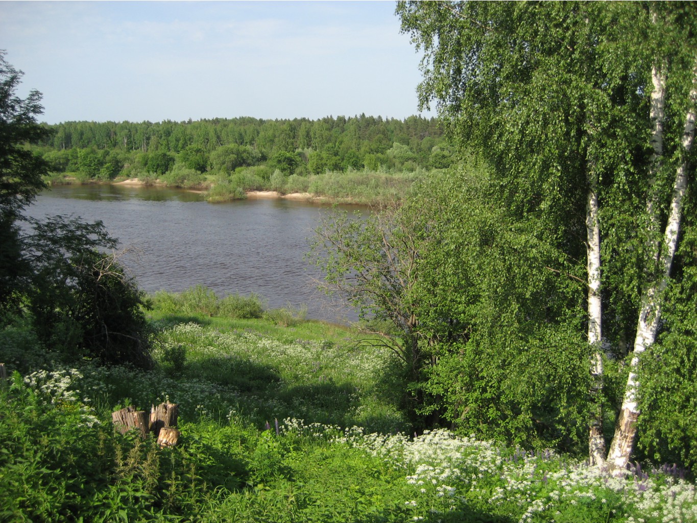 15.06.2009 10:37:30