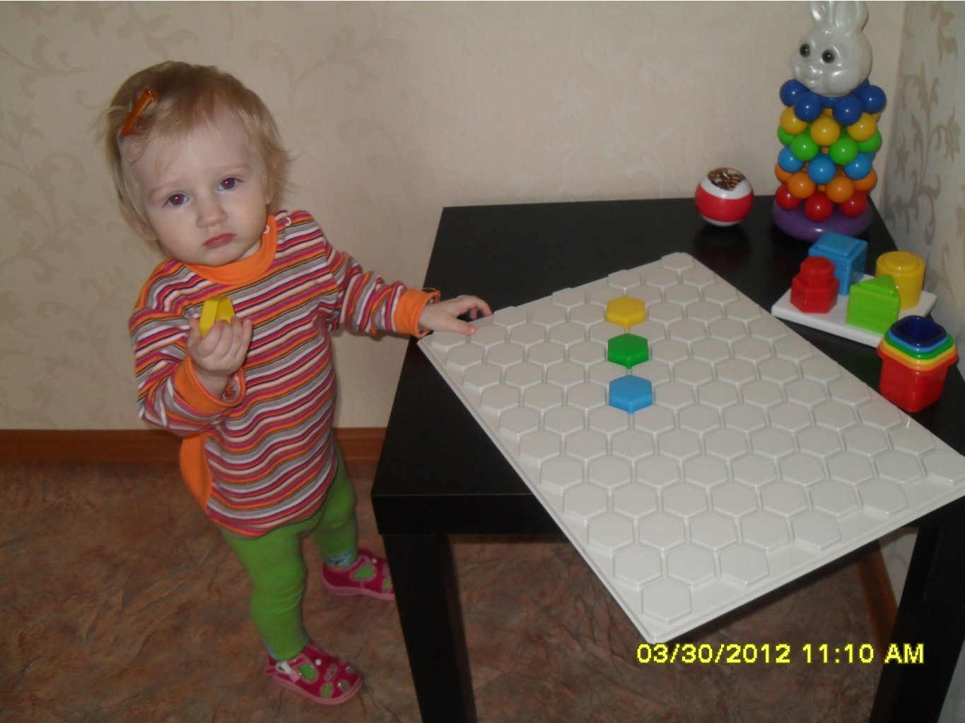 SDC13089.JPG
