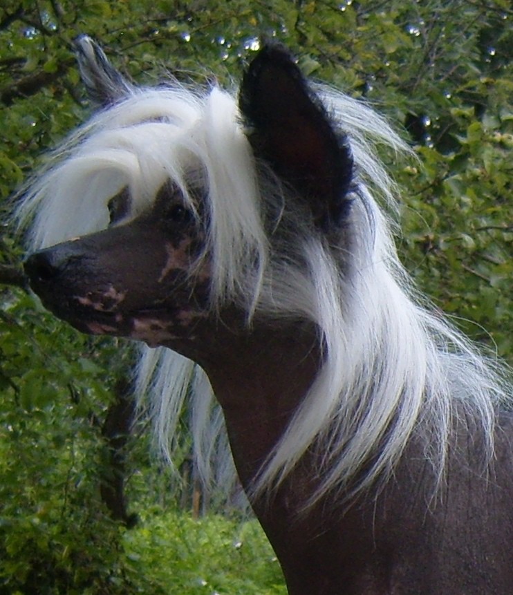 S1030208k.JPG