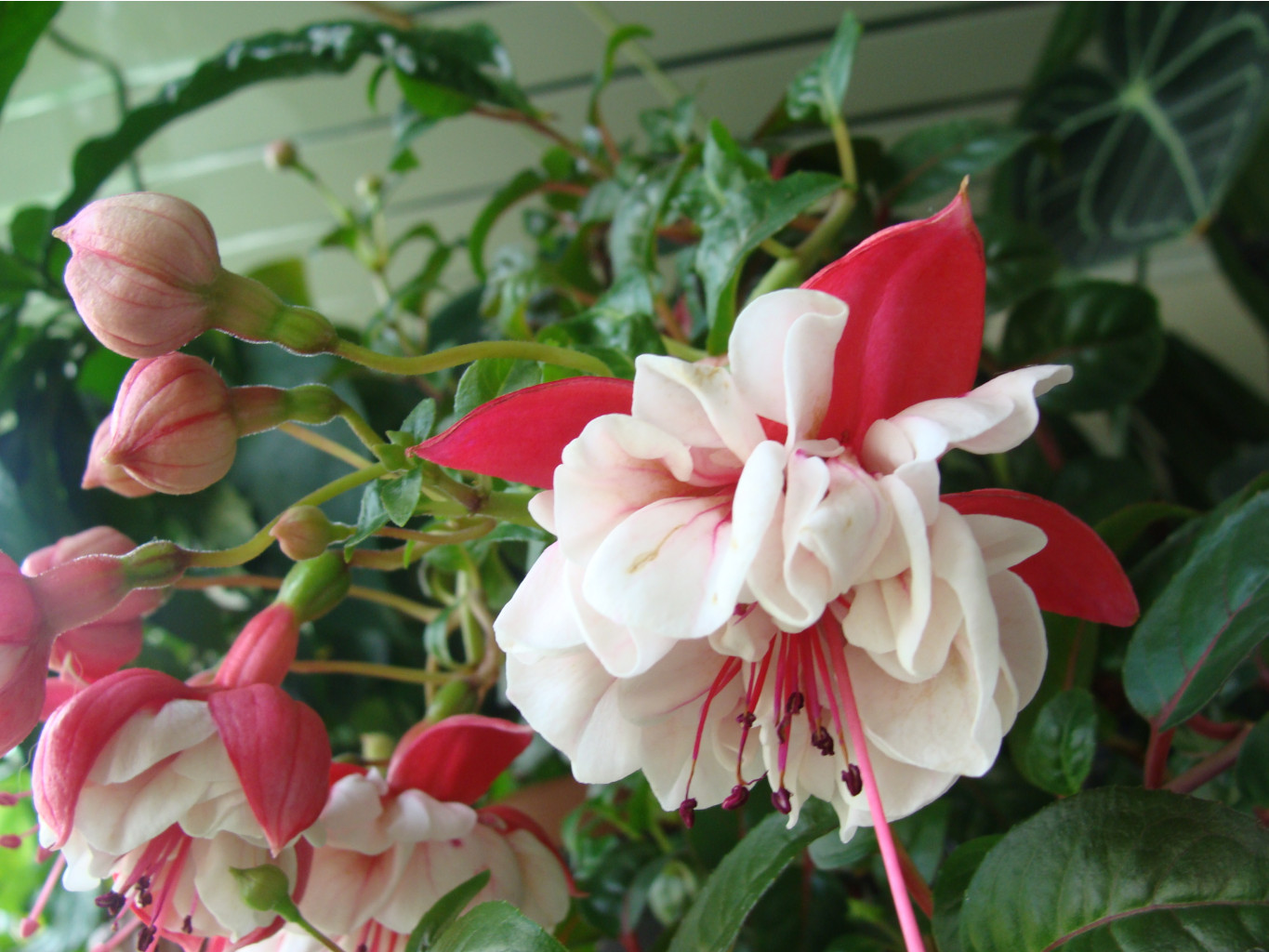 DSC08670.JPG