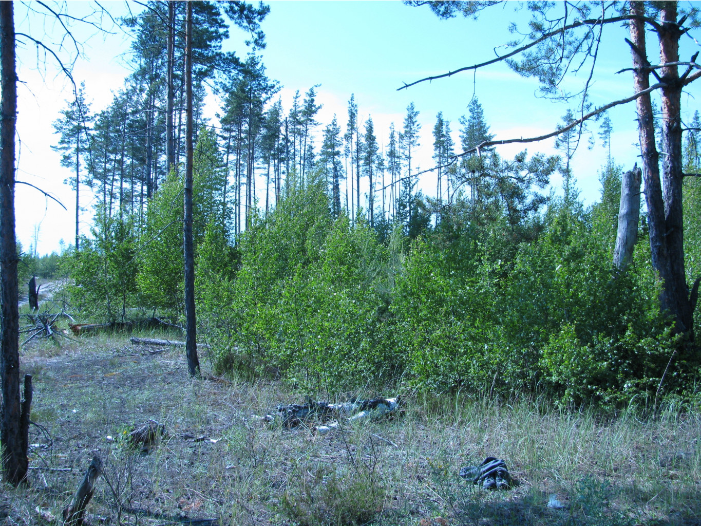 16.06.2009 11:08:31