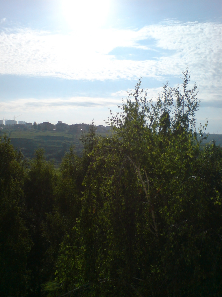 17.06.2009 11:01:46