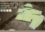 Product-182.jpg