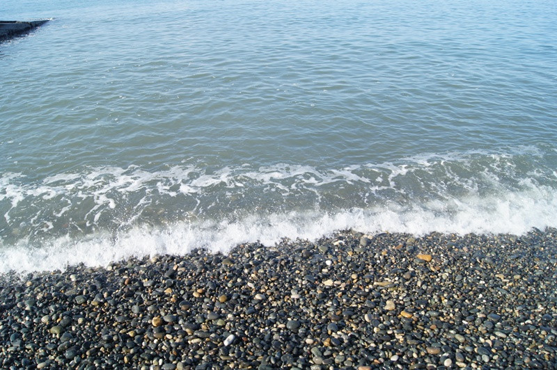 DSC06962.JPG