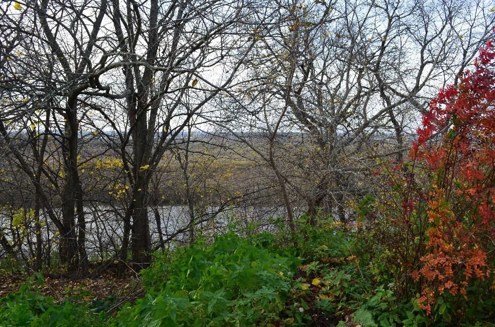 DSC_0337.JPG
