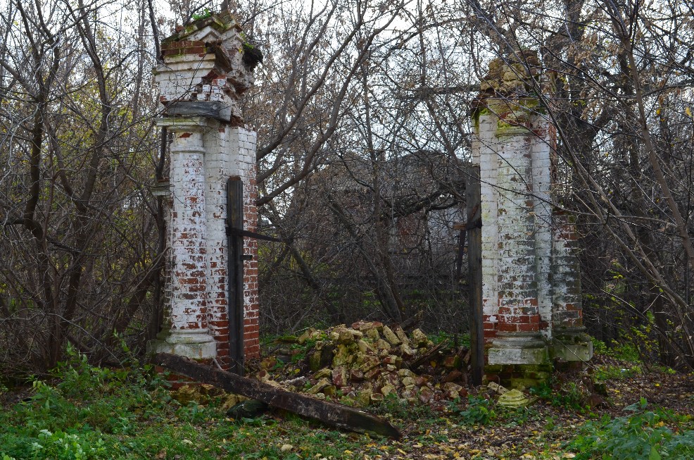 DSC_0342.JPG