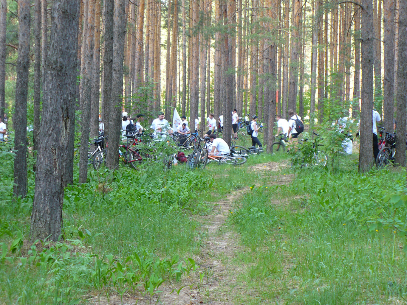 P1020657.JPG