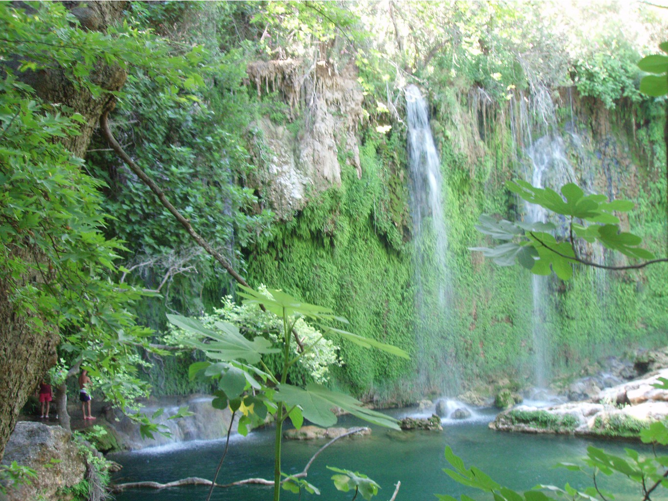    Kursunlu Sulalesi