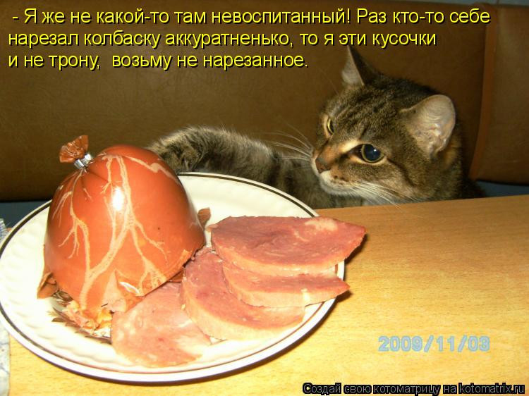 1081536.jpg