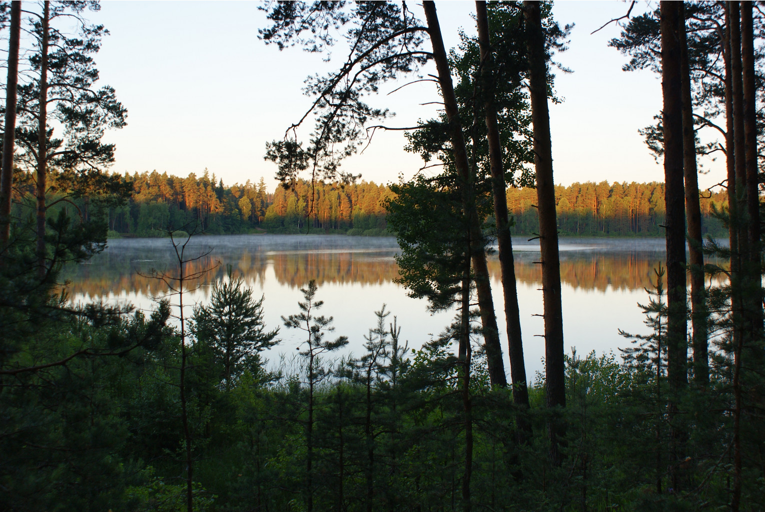 29.06.2009 10:04:58
