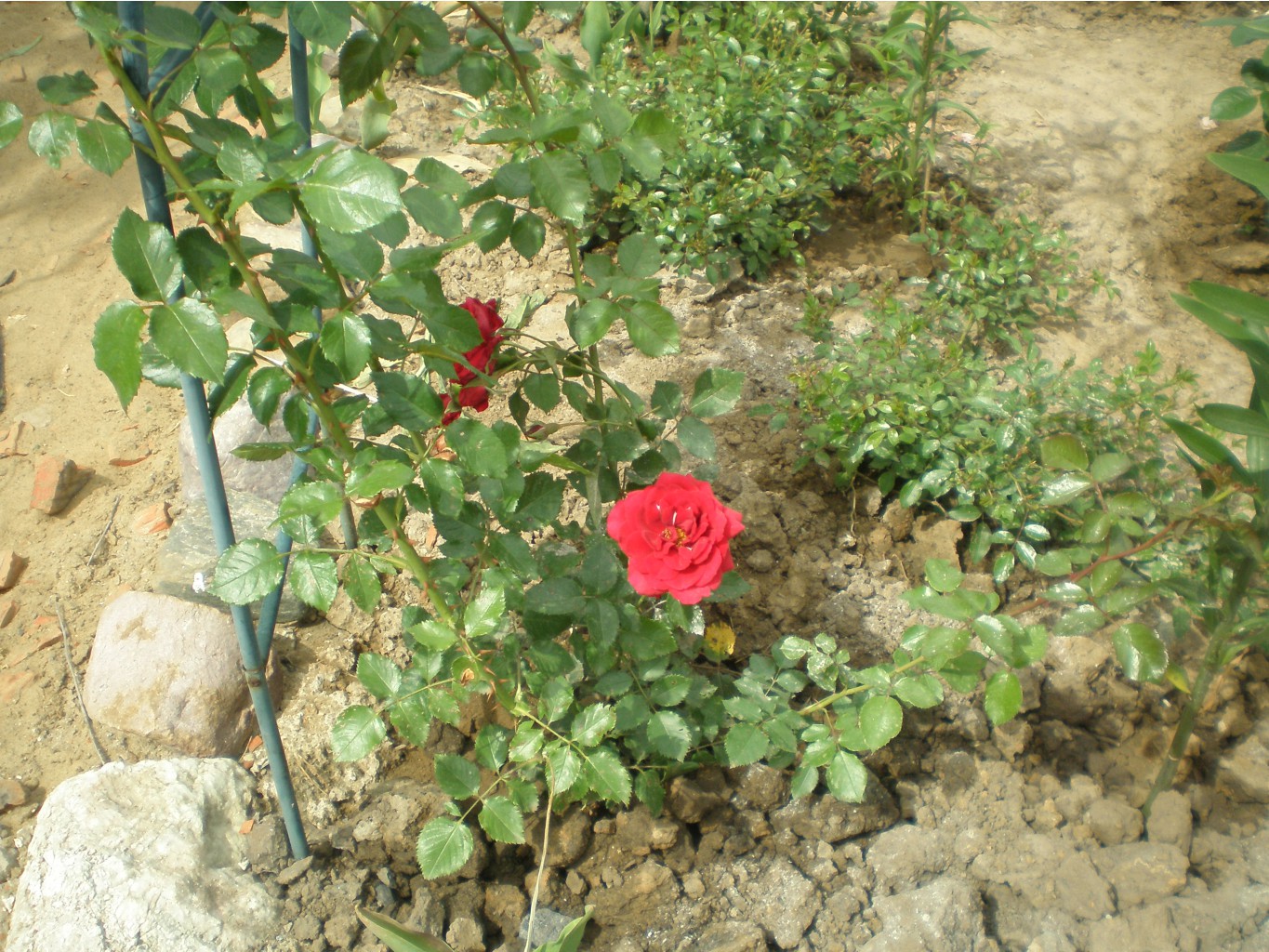 29.06.2009 14:23:48