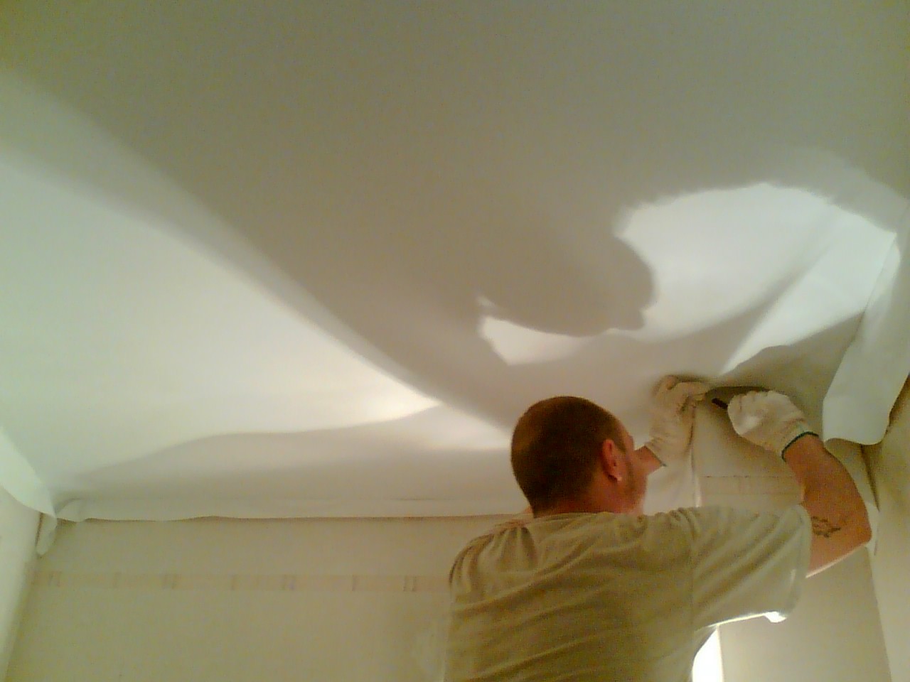   (831)220-96-96; 414-76-24