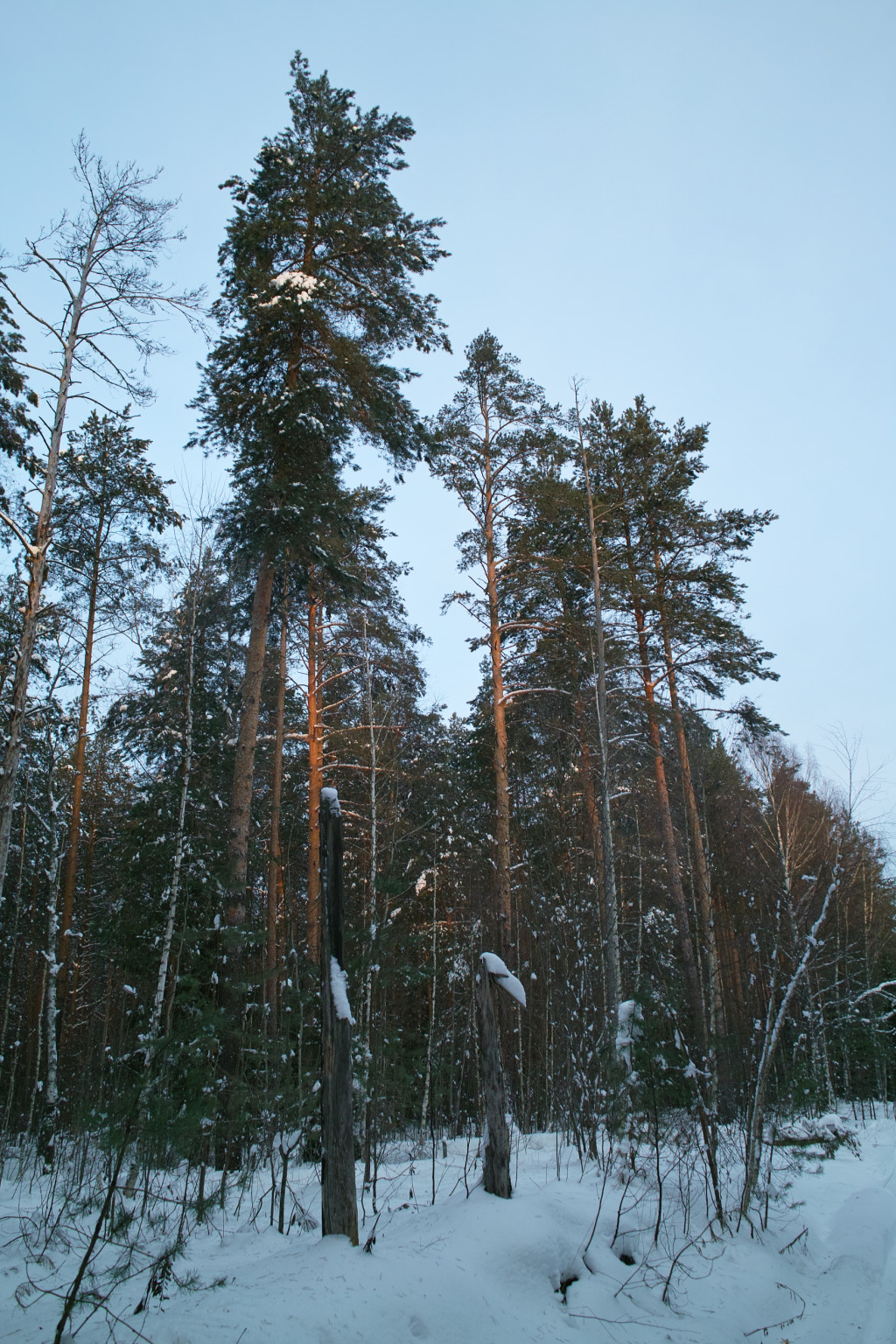 SDIM1609.jpg