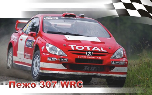 1037248  604310  307 WRC - 310,00.jpg