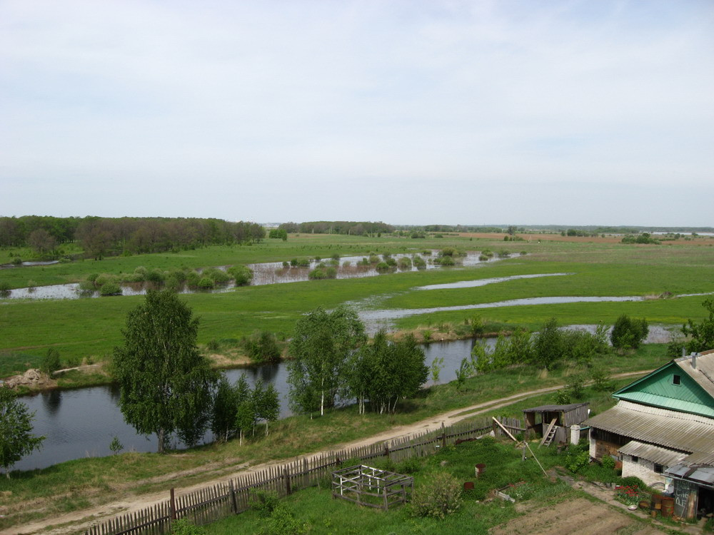 4553094.IMG_0675_resize.JPG