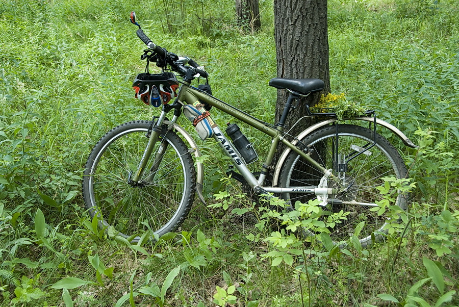 06.07.2009 21:30:08