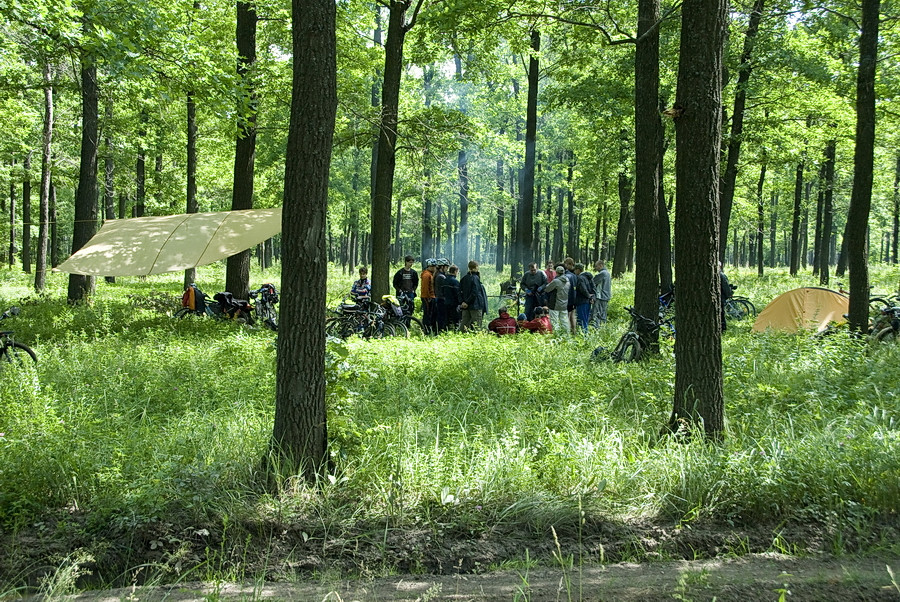 06.07.2009 21:30:17