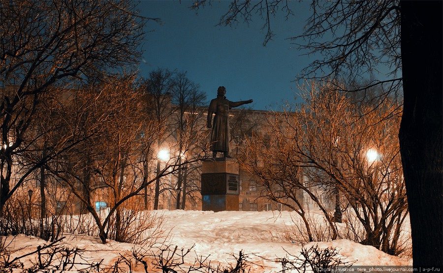 BUL_9202=.jpg