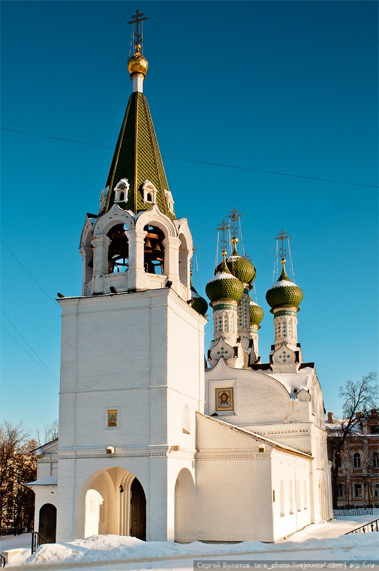 BUL_3537=.jpg