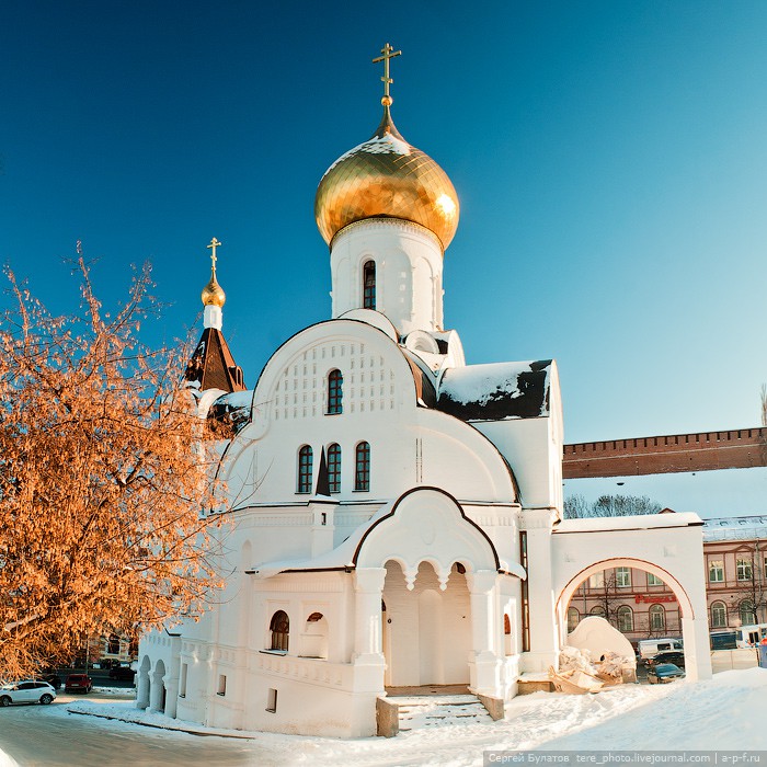 BUL_3566=.jpg