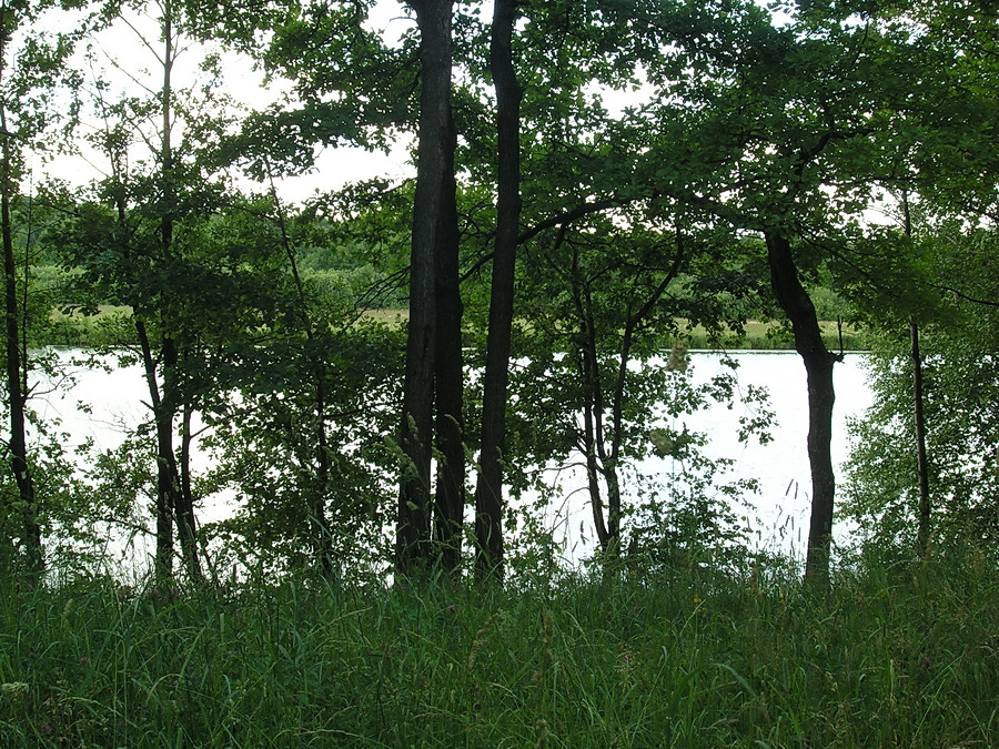 06.07.2009 21:57:47
